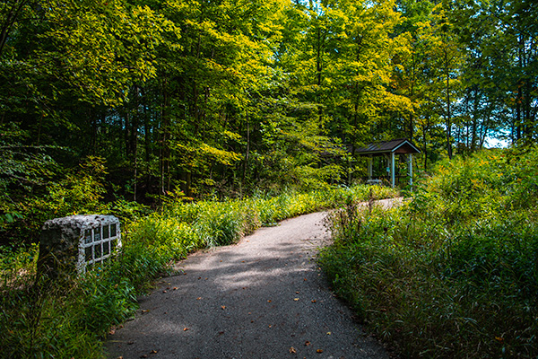 All Souls Nature Trail
