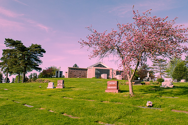 Section 18 at All Souls during sunrise