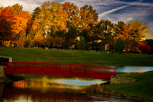 Elmhurst landscape in fall