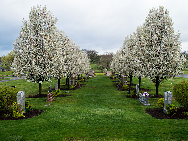 Cross Columbarium at Holy Cross Akron